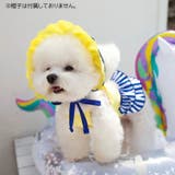 ペットウェア 犬服 猫服 | PlusNao | 詳細画像3