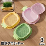 猫草プランター 猫草ポット 猫草ボックス | PlusNao | 詳細画像1 