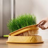 猫草プランター 猫草ポット 猫草ボックス | PlusNao | 詳細画像4 