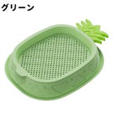 猫草プランター 猫草ポット 猫草ボックス | PlusNao | 詳細画像9 