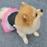 ドッグウェア 犬服 犬用ウェア | PlusNao | 詳細画像8