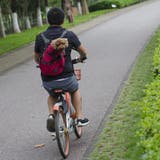 ペット用キャリーバッグ おんぶ紐 抱っこひも | PlusNao | 詳細画像9 