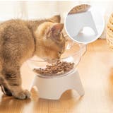 猫用食器 犬用食器 フードボウル | PlusNao | 詳細画像2 