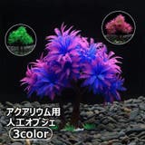 人工オブジェ 人工水草 人工植物 | PlusNao | 詳細画像1