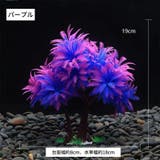 人工オブジェ 人工水草 人工植物 | PlusNao | 詳細画像2