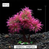 人工オブジェ 人工水草 人工植物 | PlusNao | 詳細画像4