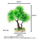 人工オブジェ 人工水草 人工植物 | PlusNao | 詳細画像5