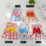 ペットウェア ワンピース 犬服 | PlusNao | 詳細画像12