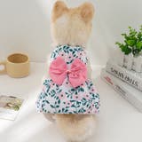 ペットウェア ワンピース 犬服 | PlusNao | 詳細画像3