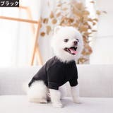 ペットウェア ドッグウェア キャットウェア | PlusNao | 詳細画像11 