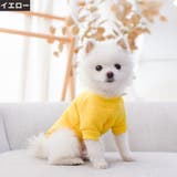 ペットウェア ドッグウェア キャットウェア | PlusNao | 詳細画像12 