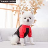 ペットウェア ドッグウェア キャットウェア | PlusNao | 詳細画像2 