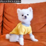 ペットウェア ドッグウェア キャットウェア | PlusNao | 詳細画像5 