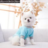 ペットウェア ドッグウェア キャットウェア | PlusNao | 詳細画像6 