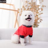 ペットウェア ドッグウェア キャットウェア | PlusNao | 詳細画像9 
