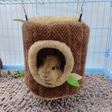 ペットベッド 寝床 ハウス | PlusNao | 詳細画像5