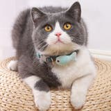 首輪 カラー ペット用チョーカー | PlusNao | 詳細画像2 