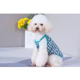 ペットウェア キャミソール 犬 | PlusNao | 詳細画像10