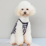 ペットウェア キャミソール 犬 | PlusNao | 詳細画像3