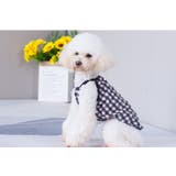 ペットウェア キャミソール 犬 | PlusNao | 詳細画像4