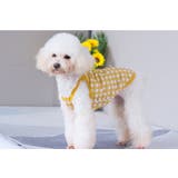ペットウェア キャミソール 犬 | PlusNao | 詳細画像7