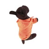 ペット用 犬用 洋服 | PlusNao | 詳細画像3 