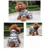 ドッグウェア 犬服 ペット服 | PlusNao | 詳細画像6