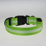 首輪 犬用 光る首輪 | PlusNao | 詳細画像12 