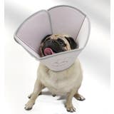 エリザベスカラー 犬用 小型犬 | PlusNao | 詳細画像2 