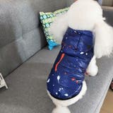 ドッグウェア 犬服 ペット服 | PlusNao | 詳細画像3 