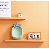 フードボウル ペット 猫用 | PlusNao | 詳細画像11