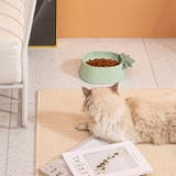 フードボウル ペット 猫用 | PlusNao | 詳細画像2