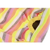 マナーパンツ 犬用 サニタリーパンツ | PlusNao | 詳細画像13