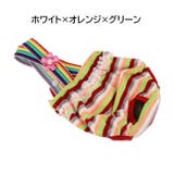マナーパンツ 犬用 サニタリーパンツ | PlusNao | 詳細画像14