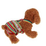 マナーパンツ 犬用 サニタリーパンツ | PlusNao | 詳細画像5