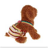 マナーパンツ 犬用 サニタリーパンツ | PlusNao | 詳細画像8