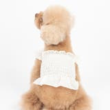 ドッグウェア キャミソール キャミ | PlusNao | 詳細画像3 