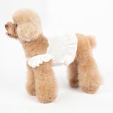 ドッグウェア キャミソール キャミ | PlusNao | 詳細画像4 