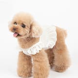 ドッグウェア キャミソール キャミ | PlusNao | 詳細画像5 