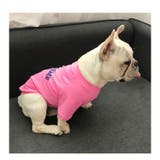 ペット用 犬猫兼用 Tシャツ | PlusNao | 詳細画像11 