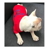 ペット用 犬猫兼用 Tシャツ | PlusNao | 詳細画像13 