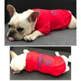 ペット用 犬猫兼用 Tシャツ | PlusNao | 詳細画像14 