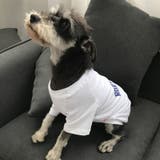 ペット用 犬猫兼用 Tシャツ | PlusNao | 詳細画像15 