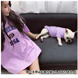ペット用 犬猫兼用 Tシャツ | PlusNao | 詳細画像3 