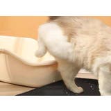 猫用 砂取りマット トイレマット | PlusNao | 詳細画像5
