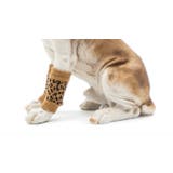 レッグウォーマー 靴下 ペット用 | PlusNao | 詳細画像3 