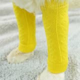 レッグウォーマー 靴下 ペット用 | PlusNao | 詳細画像4 