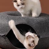 猫用ベッド ペット用ベッド ネコ用 | PlusNao | 詳細画像3