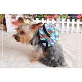 ハーネスリードセット リュックタイプ ペット用 | PlusNao | 詳細画像11 