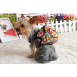 ハーネスリードセット リュックタイプ ペット用 | PlusNao | 詳細画像12 